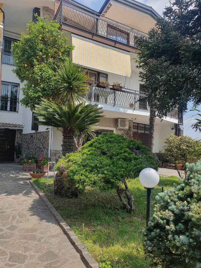 Ospitalita Il Noce Bed & Breakfast Brusciano Bagian luar foto