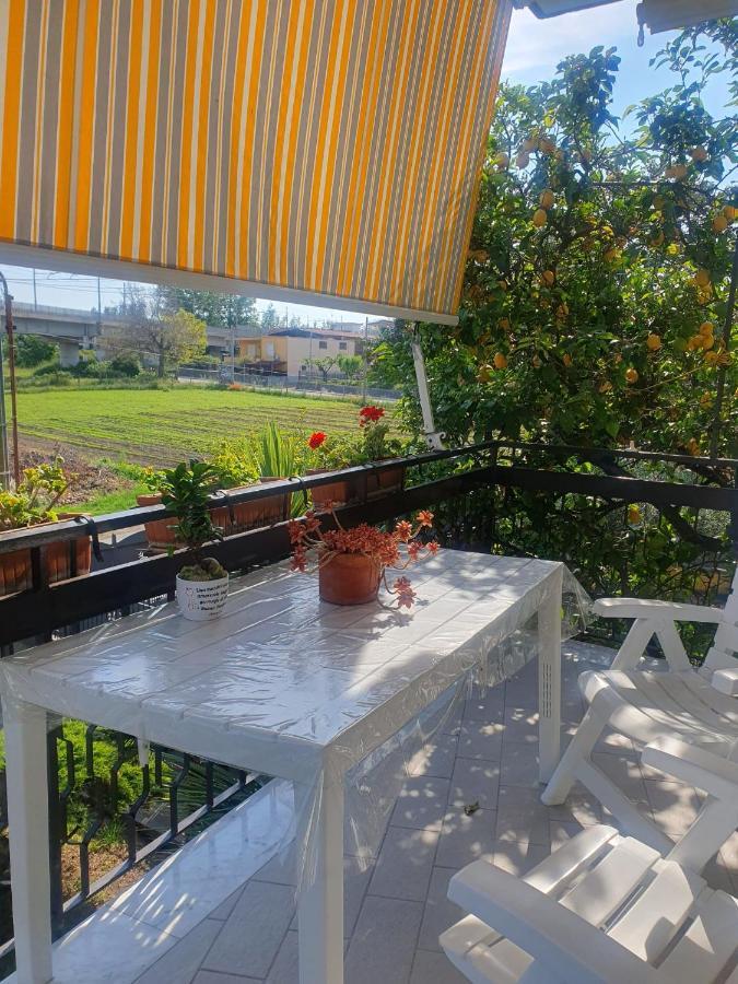 Ospitalita Il Noce Bed & Breakfast Brusciano Bagian luar foto