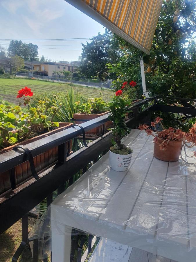 Ospitalita Il Noce Bed & Breakfast Brusciano Bagian luar foto